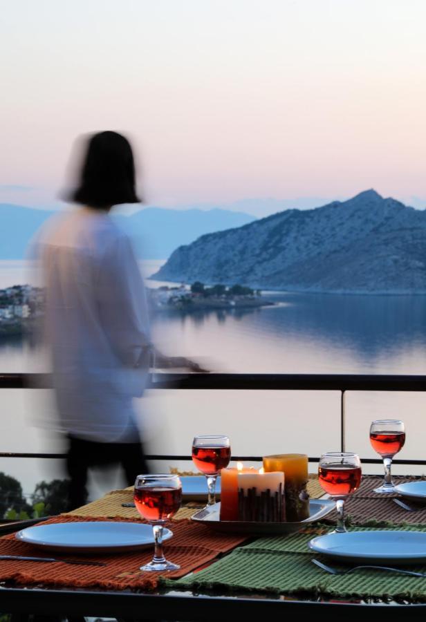 Eucalyptus Villa Aegina エクステリア 写真