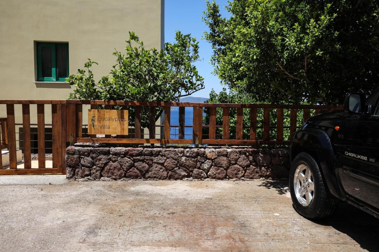 Eucalyptus Villa Aegina エクステリア 写真