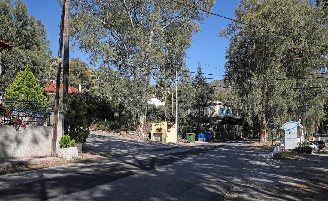 Eucalyptus Villa Aegina エクステリア 写真