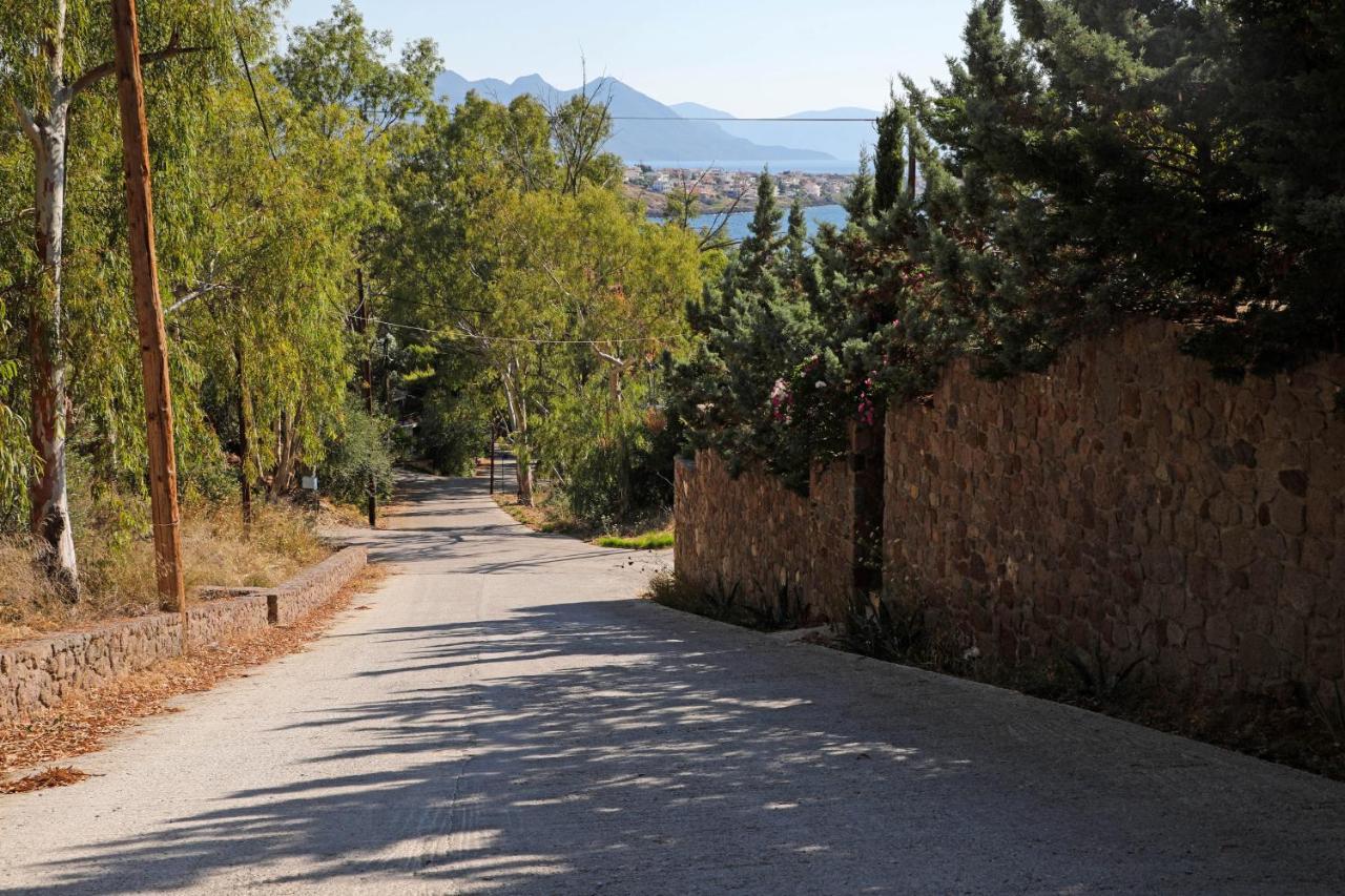 Eucalyptus Villa Aegina エクステリア 写真